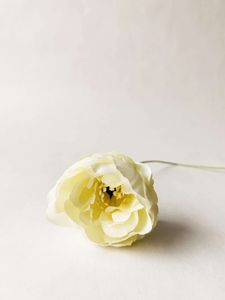 Hovedbilde Ranunkel 50 cm creme