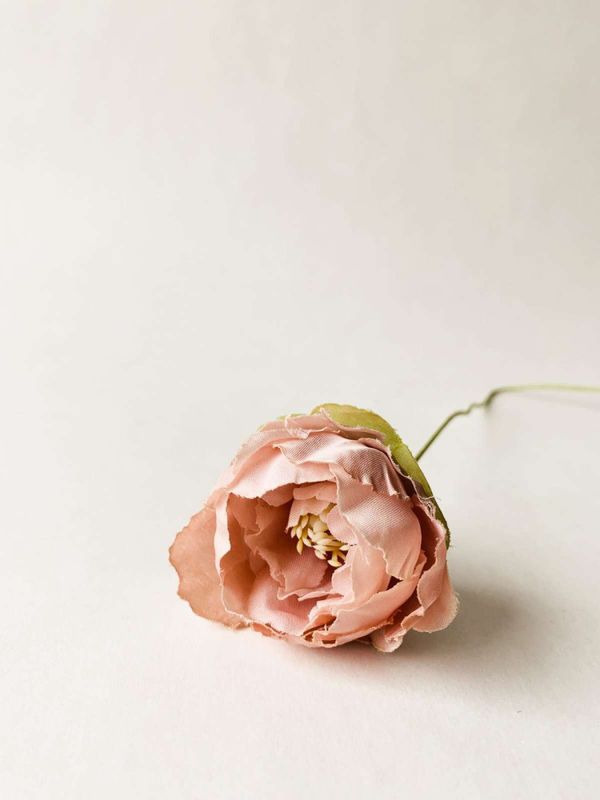 Ranunkel 50 cm rosa 