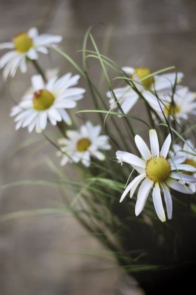 Str&aring; Solhatt 74cm h&oslash;y - hvit