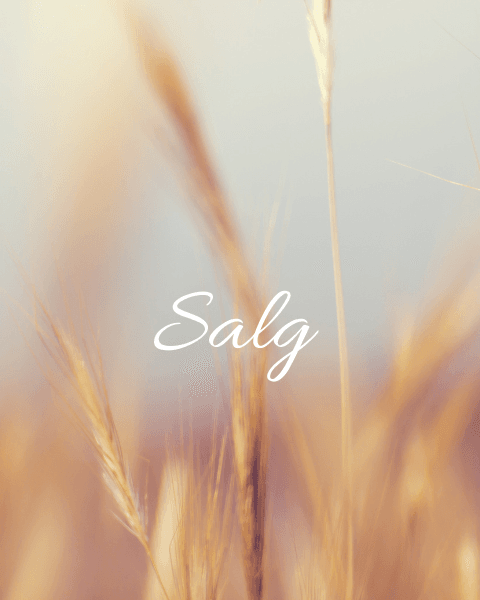 Nyheter klær og interiør